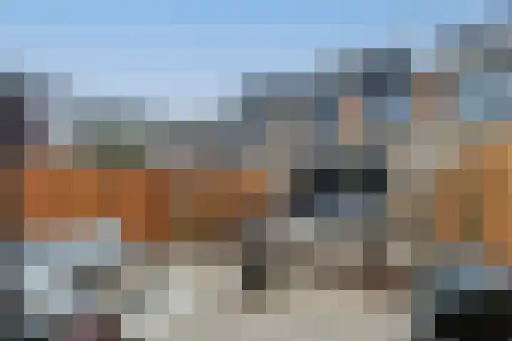 Zuiderkeerkring 219 Alphen aan den Rijn thumbnail 36