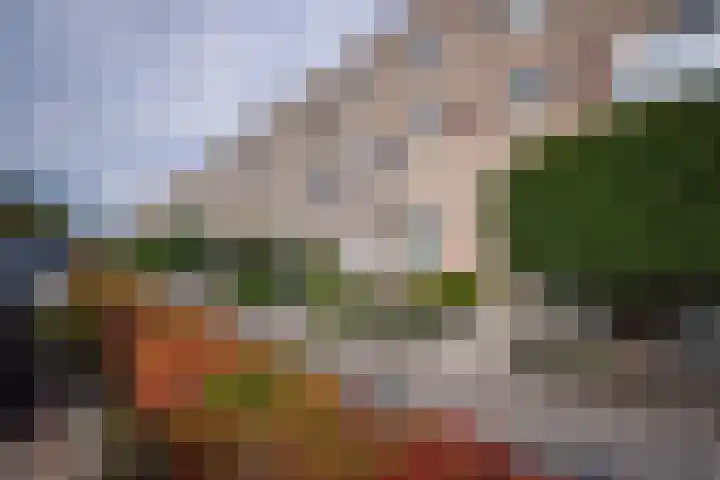 Zuiderkeerkring 229 Alphen aan den Rijn thumbnail 39