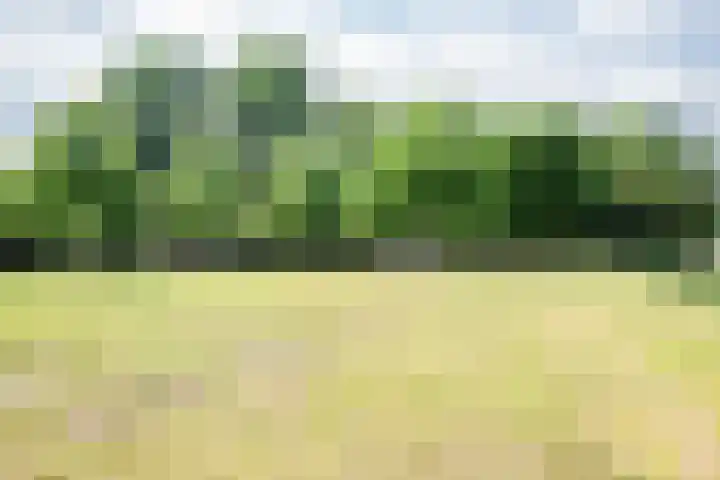 Zuiderkeerkring 229 Alphen aan den Rijn thumbnail 42