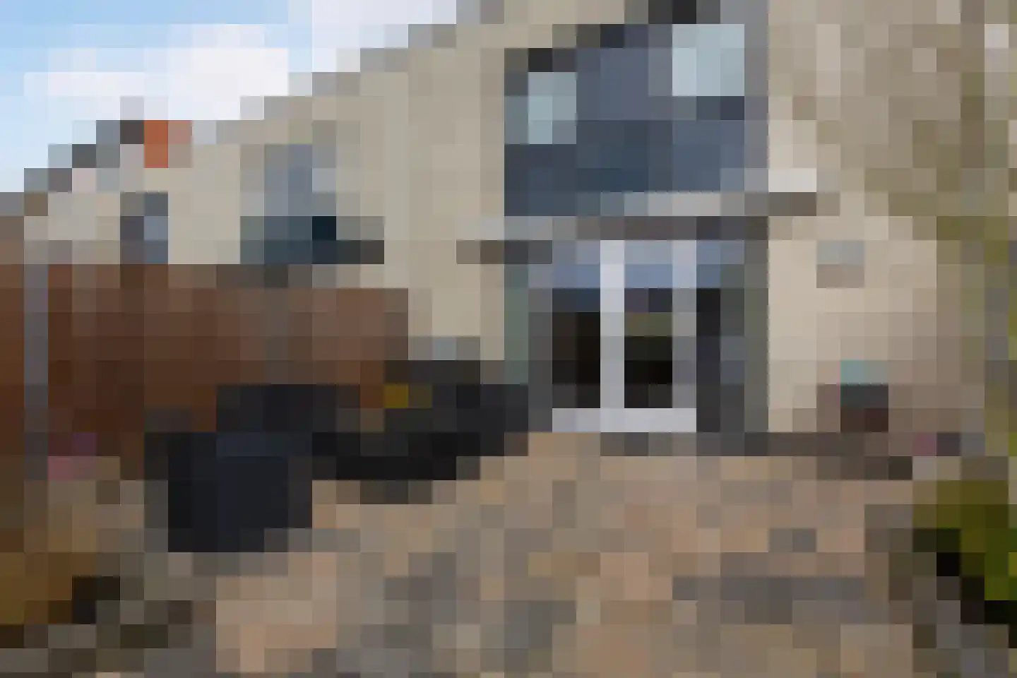 Zuiderkeerkring 302 Alphen aan den Rijn thumbnail 14