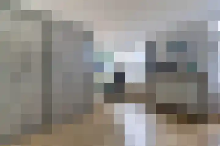 Zuiderkeerkring 313 Alphen aan den Rijn thumbnail 17