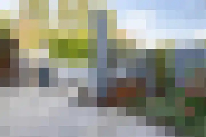 Zuiderkeerkring 313 Alphen aan den Rijn thumbnail 21