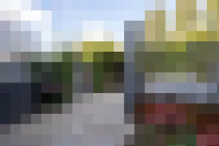 Zuiderkeerkring 313 Alphen aan den Rijn thumbnail 22
