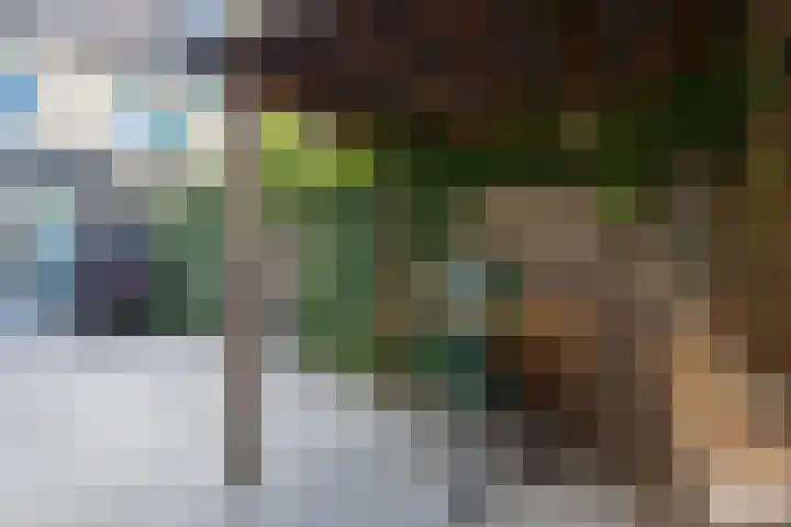 Zuiderkeerkring 313 Alphen aan den Rijn thumbnail 23