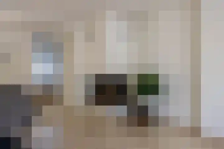 Zuiderkeerkring 313 Alphen aan den Rijn thumbnail 4