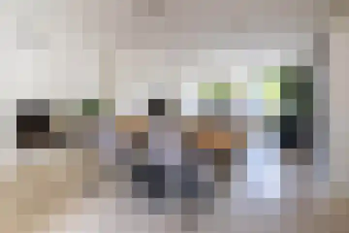 Zuiderkeerkring 313 Alphen aan den Rijn thumbnail 6