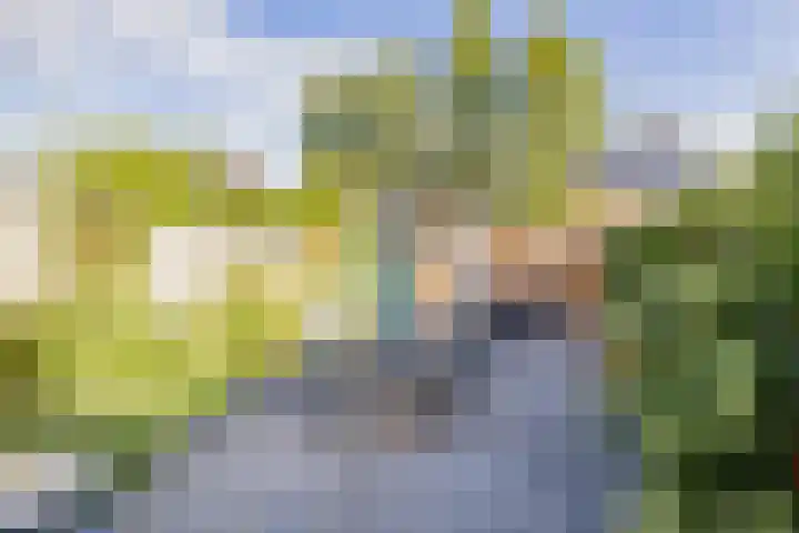 Zuiderkeerkring 315 Alphen aan den Rijn thumbnail 34