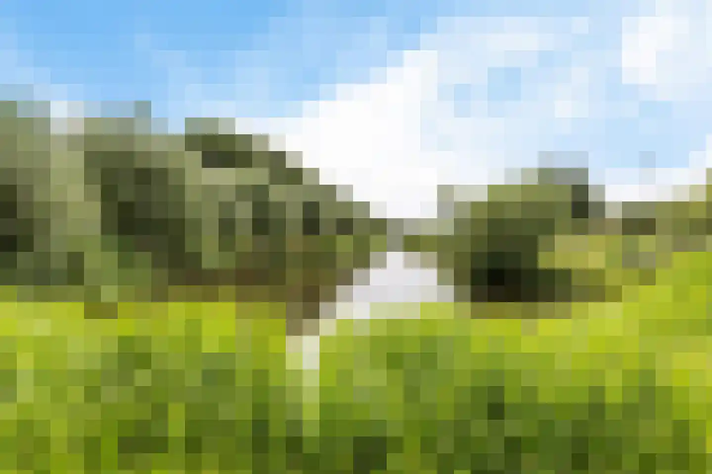 Zuiderkeerkring 357 Alphen aan den Rijn thumbnail 36
