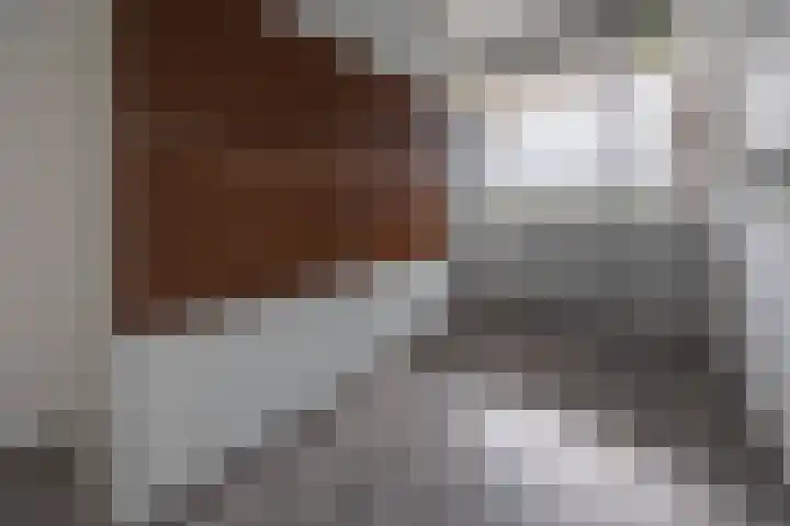 Zuiderkeerkring 363 Alphen aan den Rijn thumbnail 11