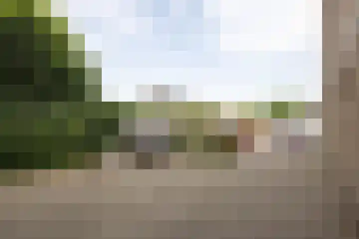 Zuiderkeerkring 363 Alphen aan den Rijn thumbnail 20