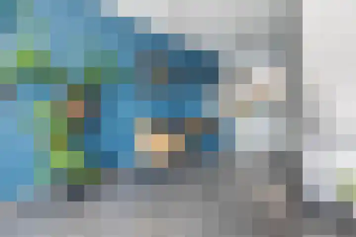 Zuiderkeerkring 363 Alphen aan den Rijn thumbnail 5
