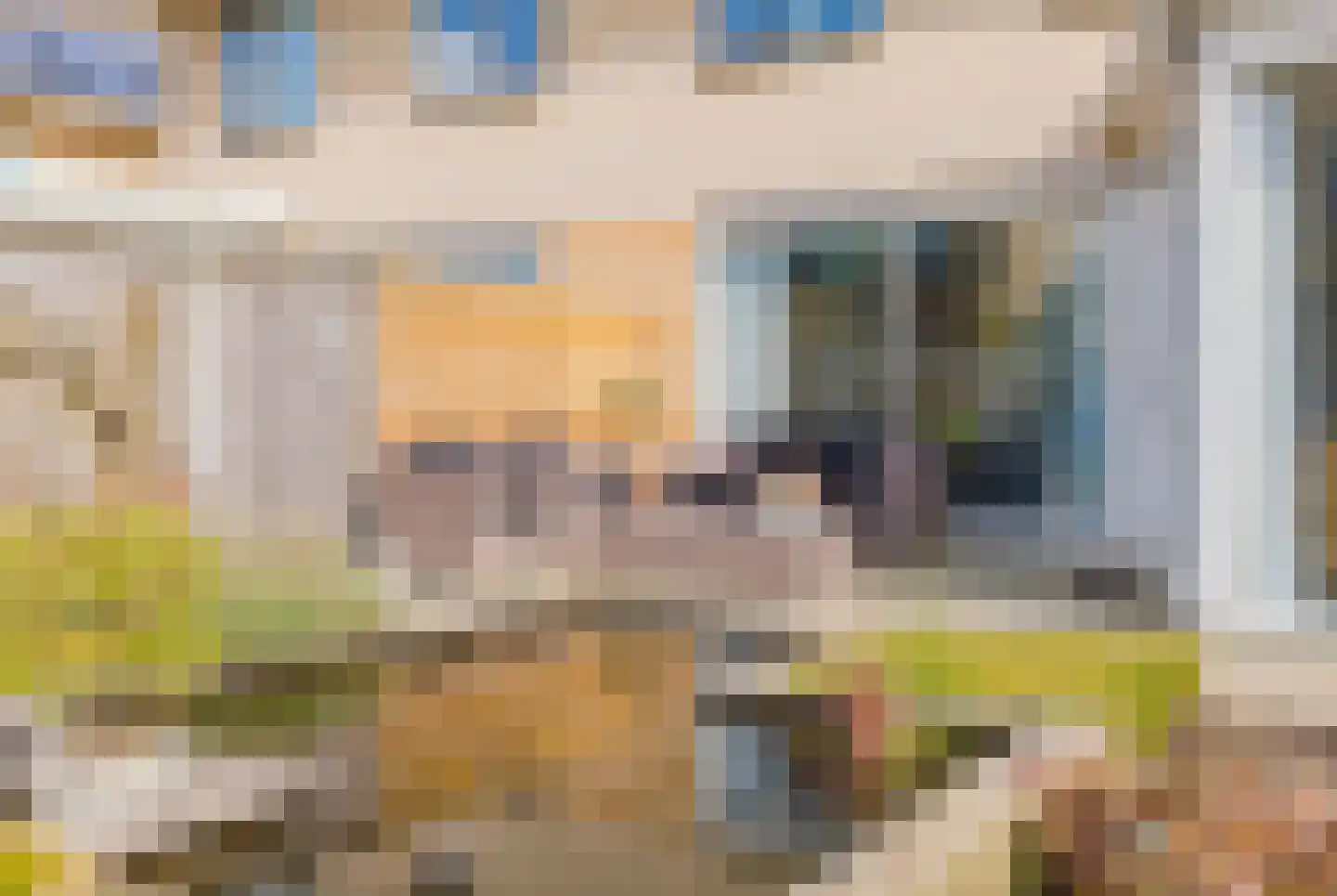 Zuiderkeerkring 419 Alphen aan den Rijn thumbnail 37