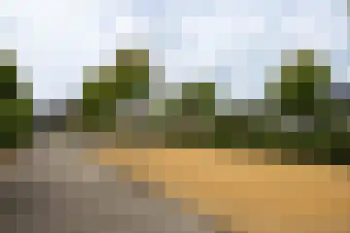 Zuiderkeerkring 48 Alphen aan den Rijn thumbnail 30