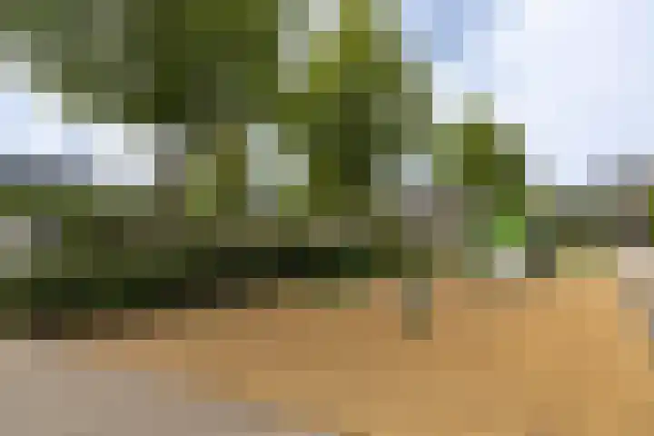 Zuiderkeerkring 48 Alphen aan den Rijn thumbnail 31