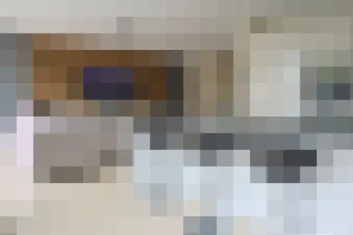 Zuiderkeerkring 48 Alphen aan den Rijn thumbnail 4