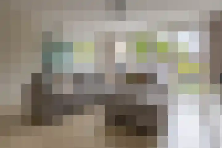 Zuiderkeerkring 48 Alphen aan den Rijn thumbnail 6