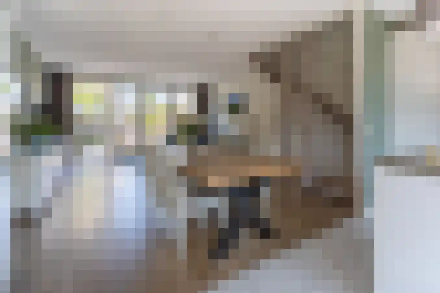 Zuiderkeerkring 76 Alphen aan den Rijn thumbnail 6
