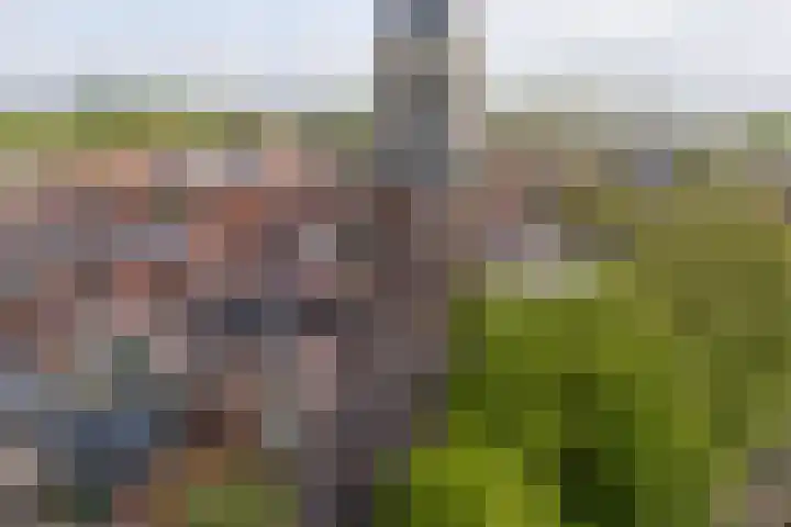 Zuiderkerkstraat 12 Enkhuizen thumbnail 4