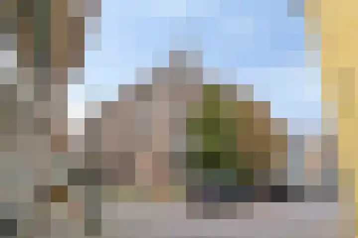 Zuiderkerkstraat 14 Zaandam thumbnail 24