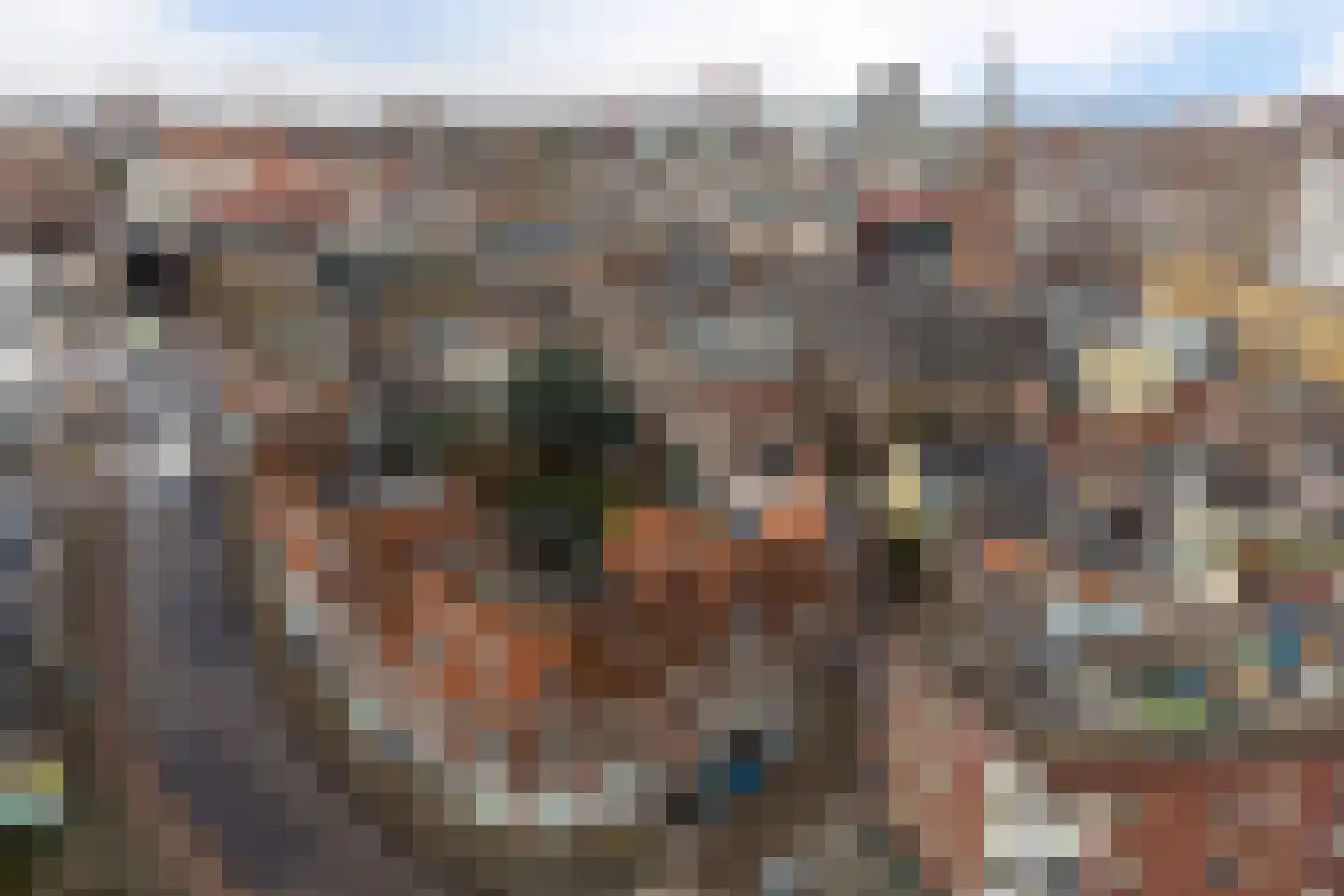 Zuiderkerkstraat 18 B Zaandam thumbnail 39