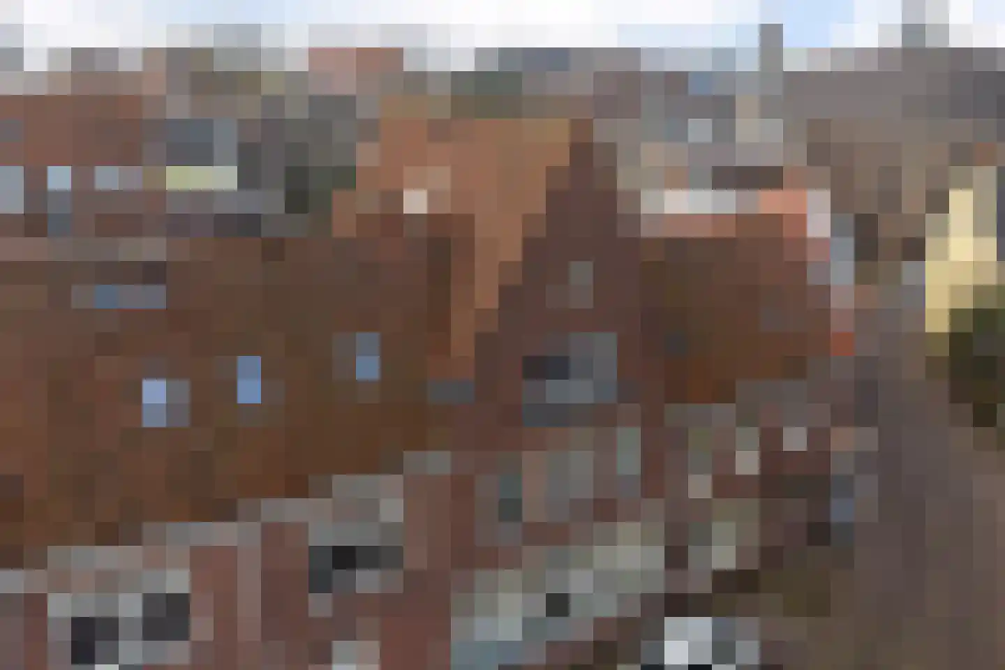 Zuiderkerkstraat 18 B Zaandam thumbnail 9