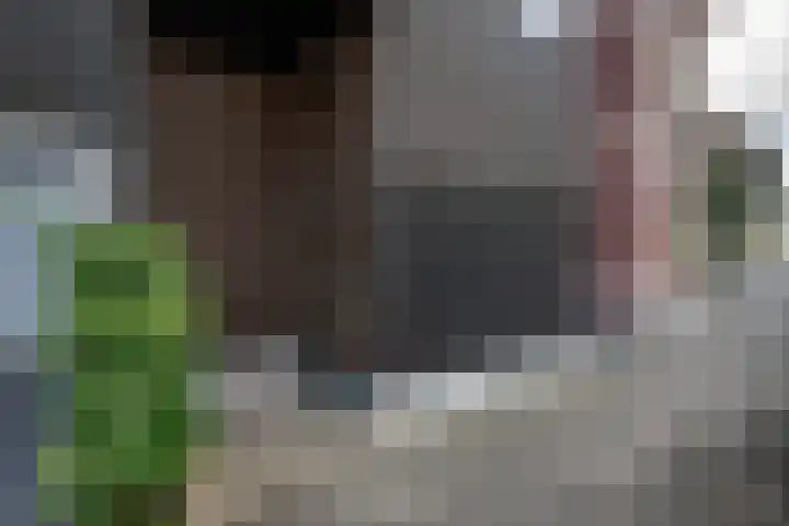 Zuiderkerkstraat 2 A Zwolle thumbnail 33