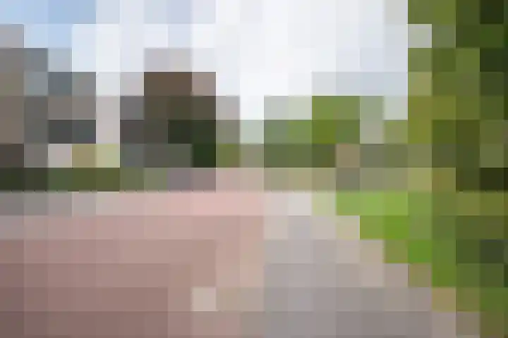 Zuiderkerkstraat 2 A Zwolle thumbnail 35