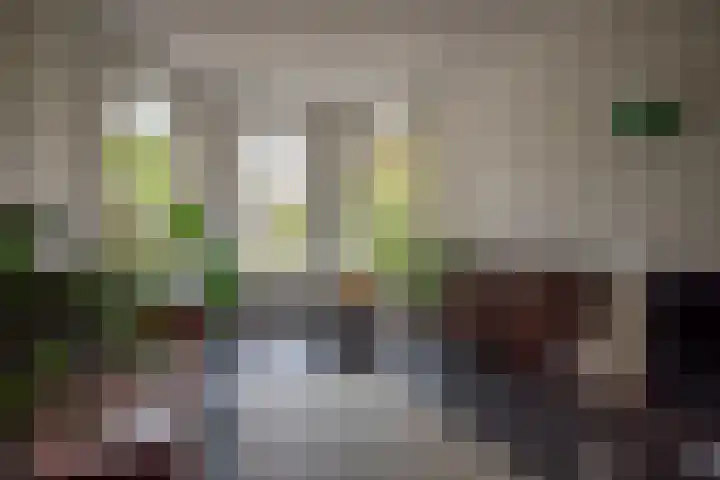 Zuiderkerkstraat 2 A Zwolle thumbnail 8
