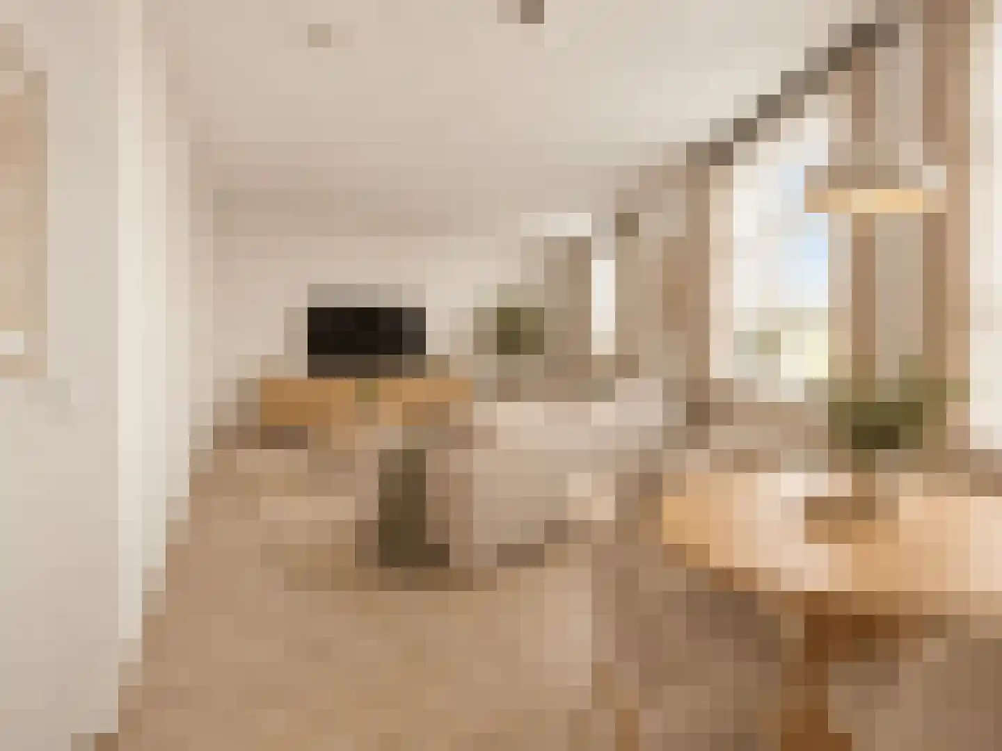 Zuiderkerkstraat 25 Zaandam thumbnail 5