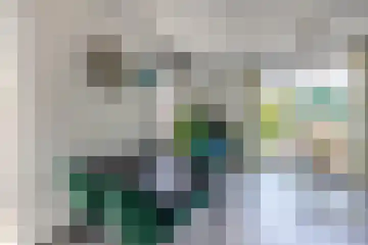 Zuiderkerkstraat 3 C Koog aan de Zaan thumbnail 9