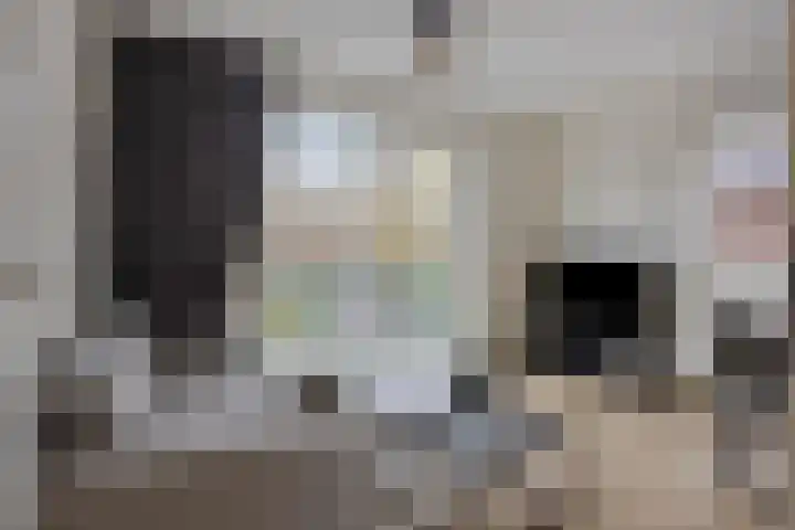 Zuiderkerkstraat 3 D Koog aan de Zaan foto 2