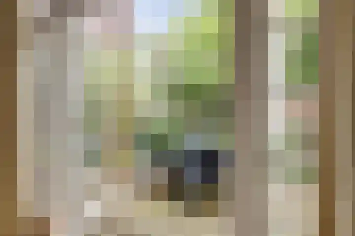 Zuiderkerkstraat 3 Zaandam thumbnail 22