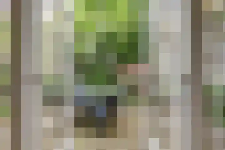 Zuiderkerkstraat 3 Zaandam thumbnail 23