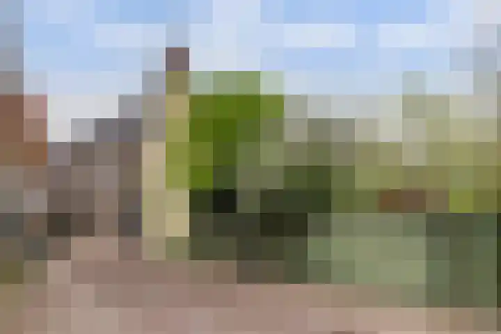 Zuiderkerkstraat 3 Zaandam thumbnail 7