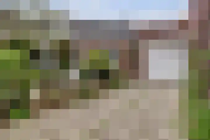 Zuiderkerkstraat 3 Zaandam thumbnail 69