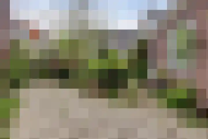 Zuiderkerkstraat 3 Zaandam thumbnail 70