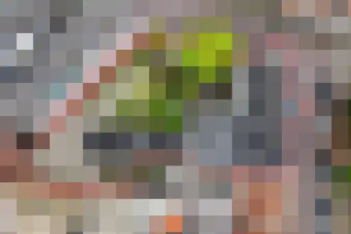 Zuiderkerkstraat 3 Zaandam thumbnail 8