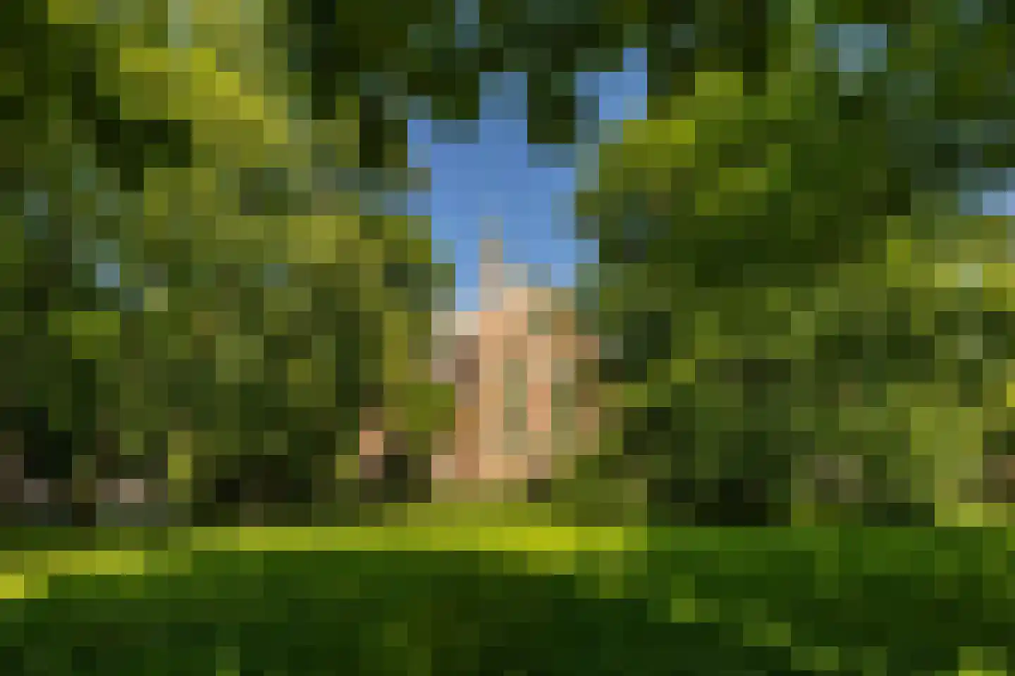 Zuiderkerkstraat 4 Groningen thumbnail 50