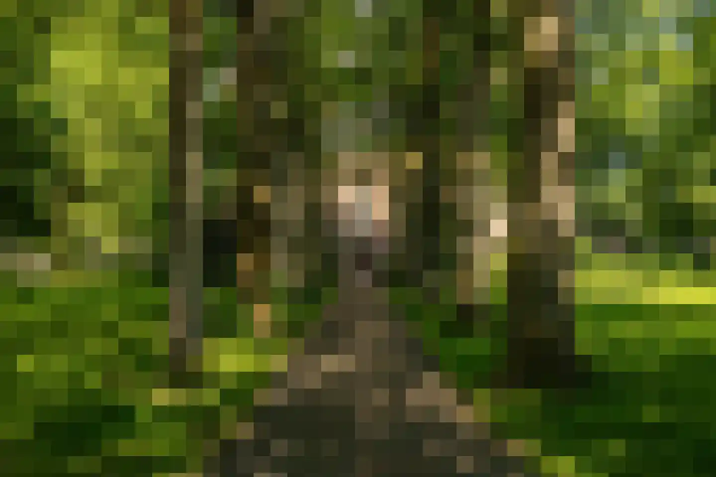 Zuiderkerkstraat 4 Groningen thumbnail 51