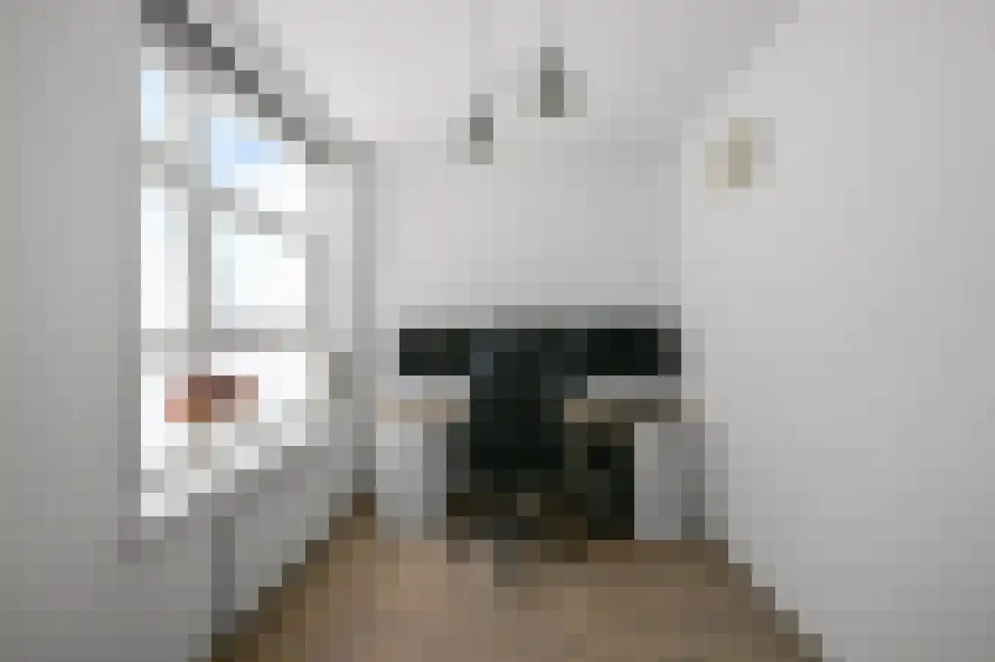 Zuiderkerkstraat 49 Zaandam thumbnail 15