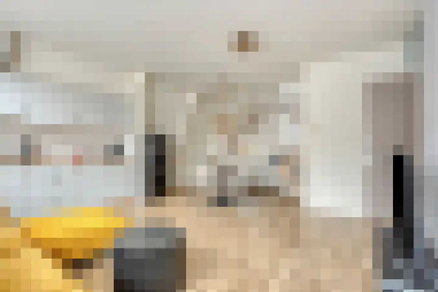 Zuiderkerkstraat 5 Enkhuizen thumbnail 13