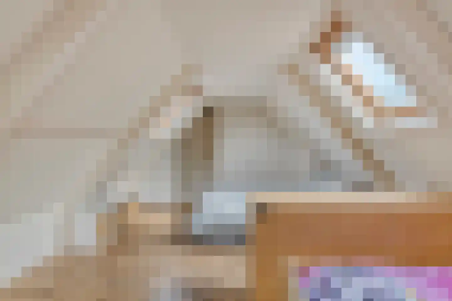 Zuiderkerkstraat 5 Enkhuizen thumbnail 22