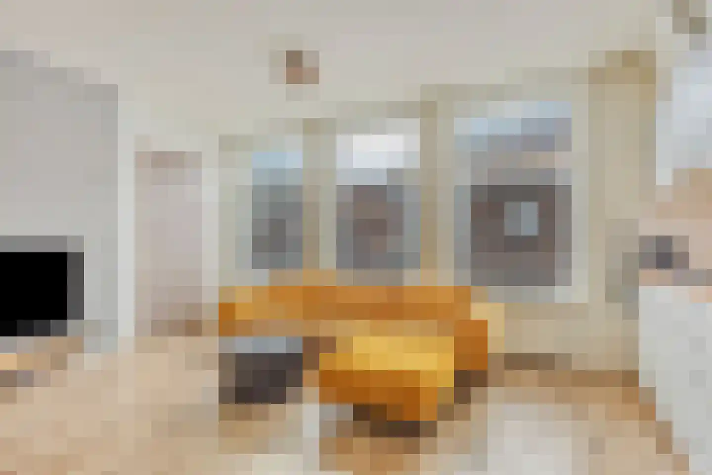 Zuiderkerkstraat 5 Enkhuizen thumbnail 5