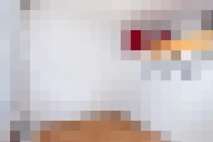 Zuiderkerktrappen 2 Nijmegen thumbnail 11