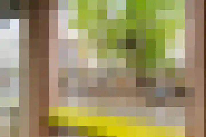 Zuiderkerktrappen 2 Nijmegen thumbnail 15