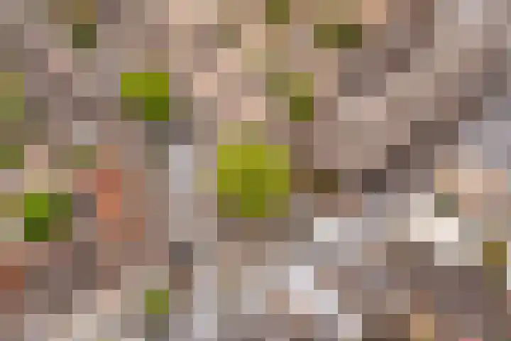 Zuiderkerktrappen 2 Nijmegen thumbnail 16