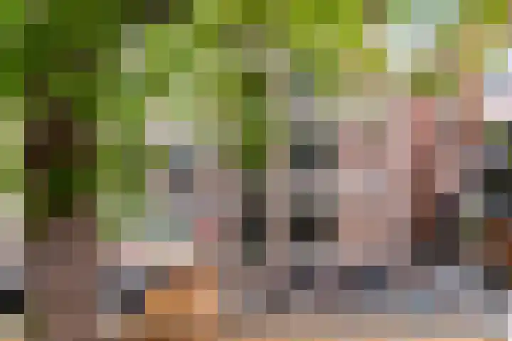 Zuiderkerktrappen 2 Nijmegen thumbnail 20