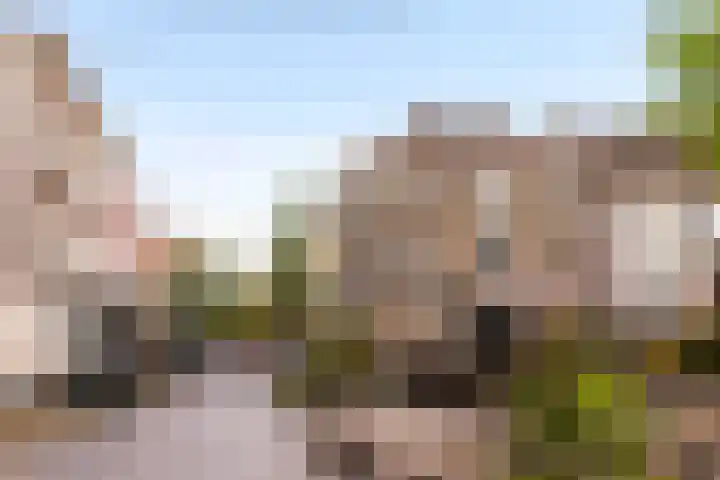 Zuiderkerktrappen 2 Nijmegen thumbnail 22