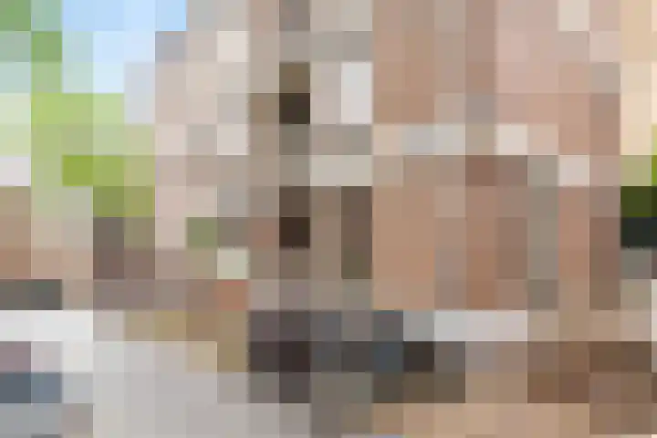 Zuiderkerktrappen 2 Nijmegen thumbnail 23