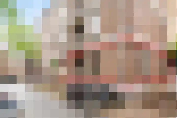 Zuiderkerktrappen 2 Nijmegen thumbnail 26